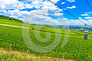 Cableway cablecar above vineyards near Rhein Rhine river in Rued