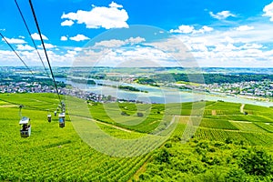 Cableway cablecar above vineyards near Rhein Rhine river in Rued