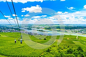 Cableway cablecar above vineyards near Rhein Rhine river in Rued