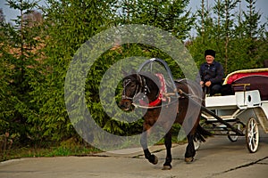 A cabman in a Cossack costume.