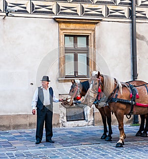 Cabman in Krakow