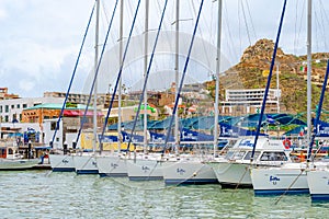 Cabo Adventures sailboats docked in Mexico