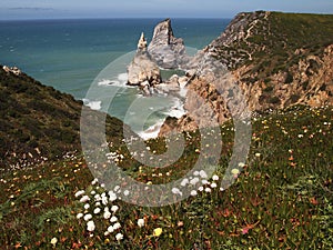 Cabo da Roca near Sintra, Portugal, continental Europeâ€™s westernmost point