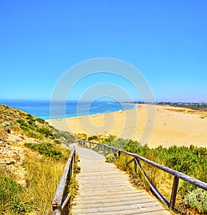 Cabo de Trafalgar Beach. Barbate, Spain photo