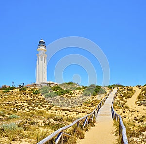 The Cabo de Trafalgar Cape Natural Park. Barbate, Spain photo