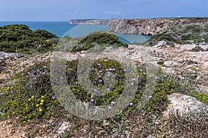 Cabo do Sao Vicente Cape Vincente