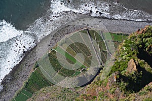 Cabo Girao in Madeira island, one of Europeâ€™s highest sea cliffs