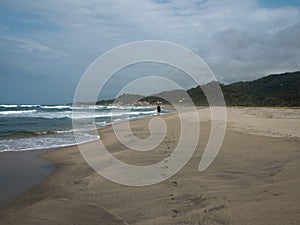 Cabo San Juan del Guia sand beach in Tayrona National Park tropical Caribbean palm tree coast Colombia South America