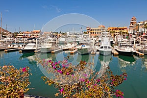 Cabo San Lucas, Mexico