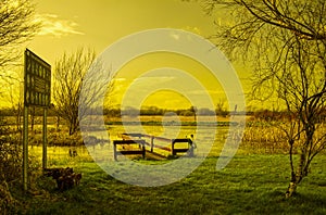 Cabra Wetlands near Thurles,Co Tipperary