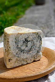 Cabrales artisan blue cheese made by rural dairy farmers in Asturias, Spain