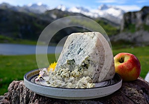 Cabrales artisan blue cheese made by rural dairy farmers in Asturias, Spaom cowâ€™s milk or blended with goat, sheep milk