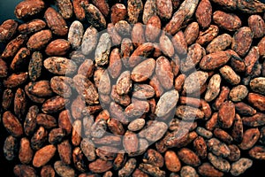 Cacao beans wallpaper, child slavery concept photo