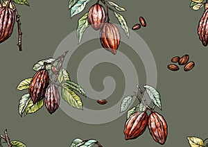 Cacao Beans, chocolate. Vector illustration. In botanical style