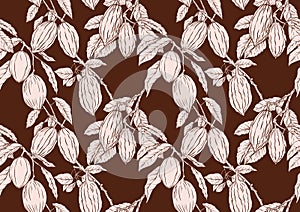 Cacao Beans, chocolate. Vector illustration. In botanical style