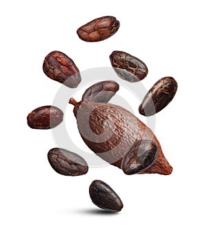 Cacao beans isolated