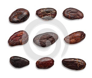 Cacao beans isolated