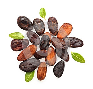 Cacao beans isolated