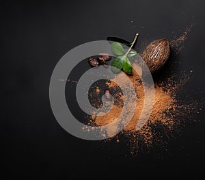 Cacao beans and powder isolated photo