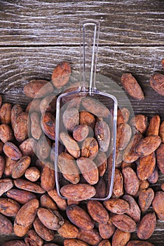 Cacao beans with scooper over wood background