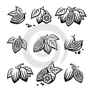 Cacao beans set. Vector