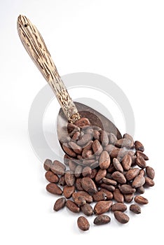 Cacao beans spoon
