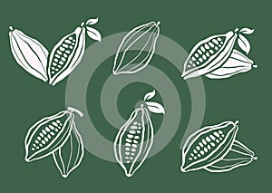 Cacao beans vector illustration set. Cocoa hand drawn doodle. Chocolate bean sketch. Cacao plant part, cacao leaves