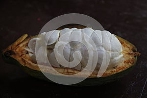 Cacao Fruit