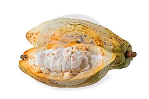 Cacao fruit, raw cacao beans, Cocoa pod on white background.