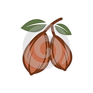 cacao icon vector element design illustration web