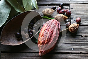 Cacao and nutmegg (Grenada) photo