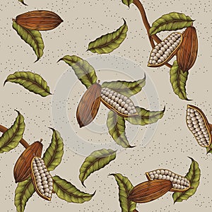 Cacao plant background