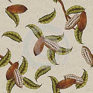 Cacao plant background photo