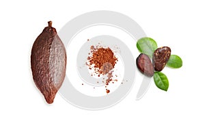 Cacao pod isolated