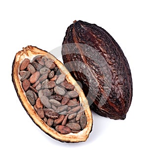 Cacao pod isolated