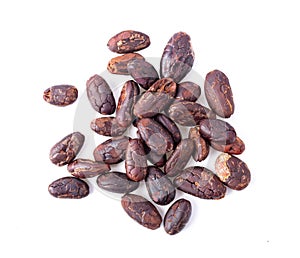 Cacao pod isolated on white backgrounds