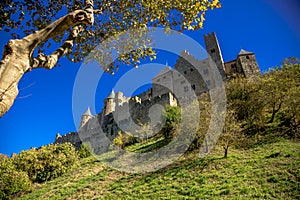 Carcassonne strenght photo