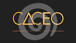 Caceo text logo professional tagline logo professional logo logo design