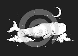 cachalot swims in the night sky