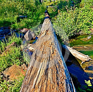 `Cache`ing In photo