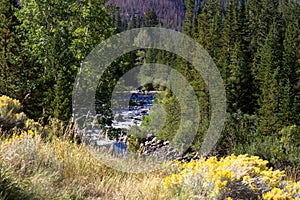 Cache La Poudre Wild and Scenic River