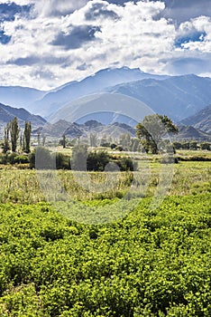 Cachi Adentro in Salta, northern Argentina photo