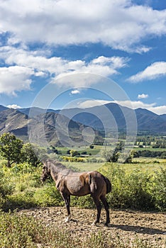 Cachi Adentro in Salta, northern Argentina photo