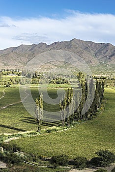 Cachi Adentro in Salta, northern Argentina photo