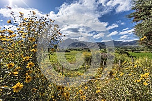 Cachi Adentro in Salta, northern Argentina photo