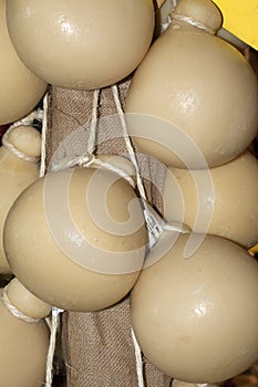 Caciocavallo or scamorza is a typical southern italy cheese