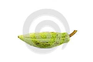 Cacoa white background in studio