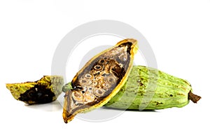 Cacoa white background in studio