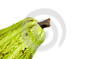 Cacoa white background in studio