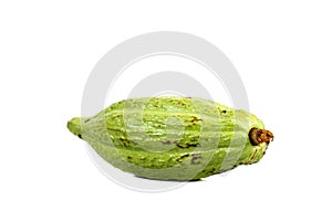 Cacoa white background in studio